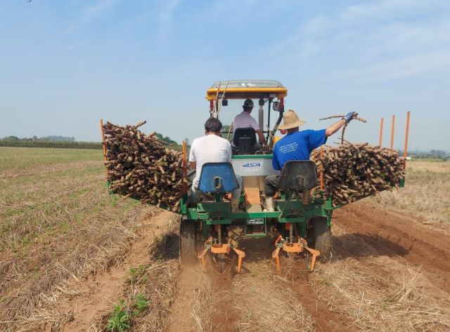 Santa Catarina amplia limite de créditos de ICMS para produtores rurais